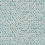 Inside Out 64-J8401 ADVENTURE Fabric