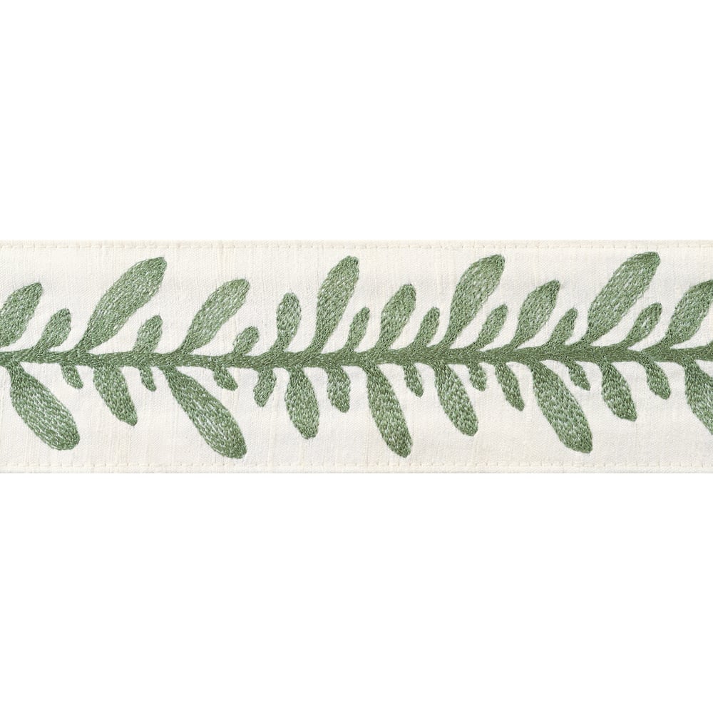 Anna French CALATHEA TAPE AE12322 in Juniper Trim - TAPES & 