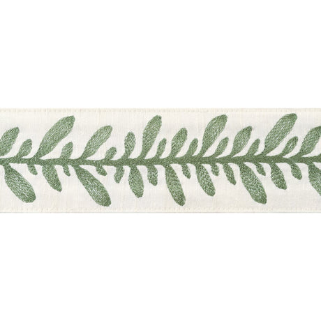 Anna French CALATHEA TAPE AE12322 in Juniper Trim - TAPES & 