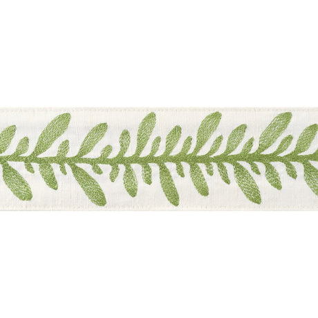 Anna French CALATHEA TAPE AE12323 in Spring Trim - TAPES & T