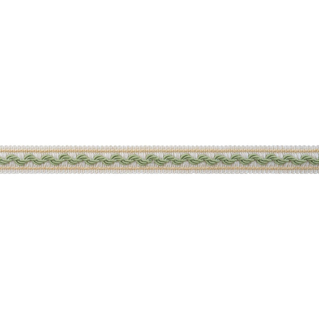 Anna French BREE TAPE AE12371 in Willow and Soft Gold Trim -