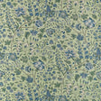 Anna French FRANCOIS AF10727 in Green and Blue Fabric - CLER
