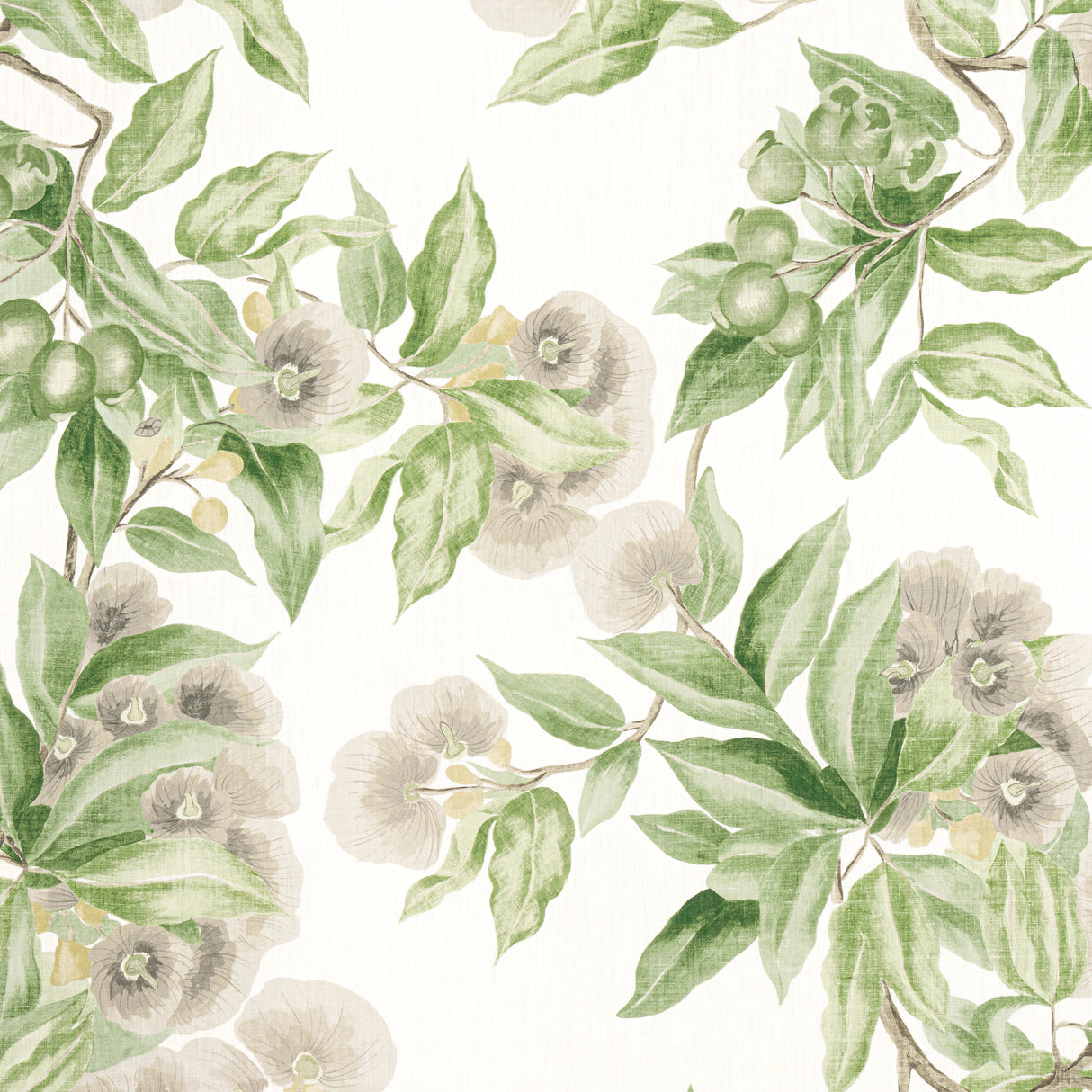 Anna French AF24551 CAMELLIA GARDEN Spring on White Fabric