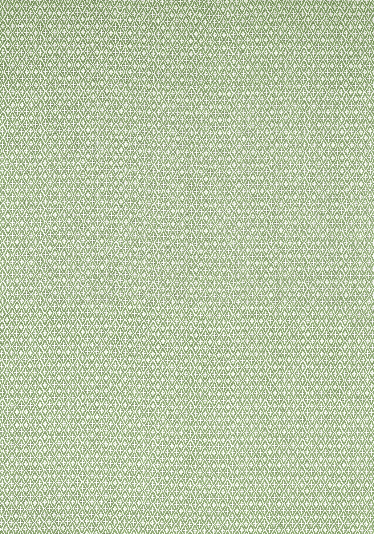 Anna French AF57814 LINDSEY Green Fabric