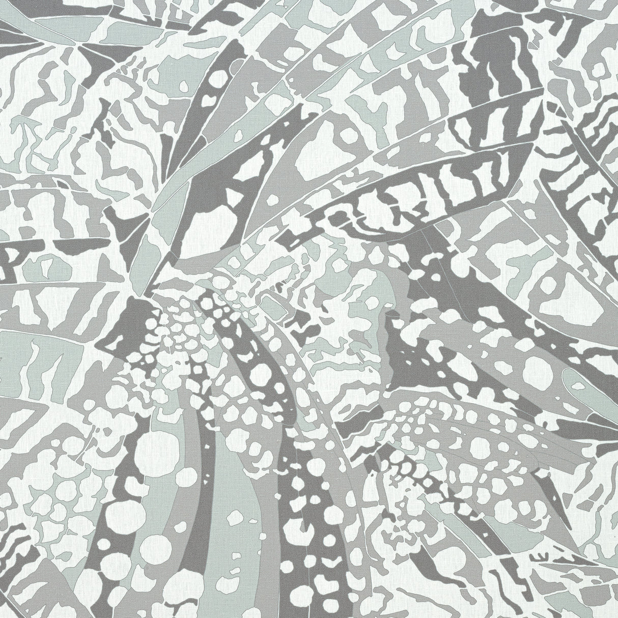 Anna French AF9858 PUCCINI Grey Fabric