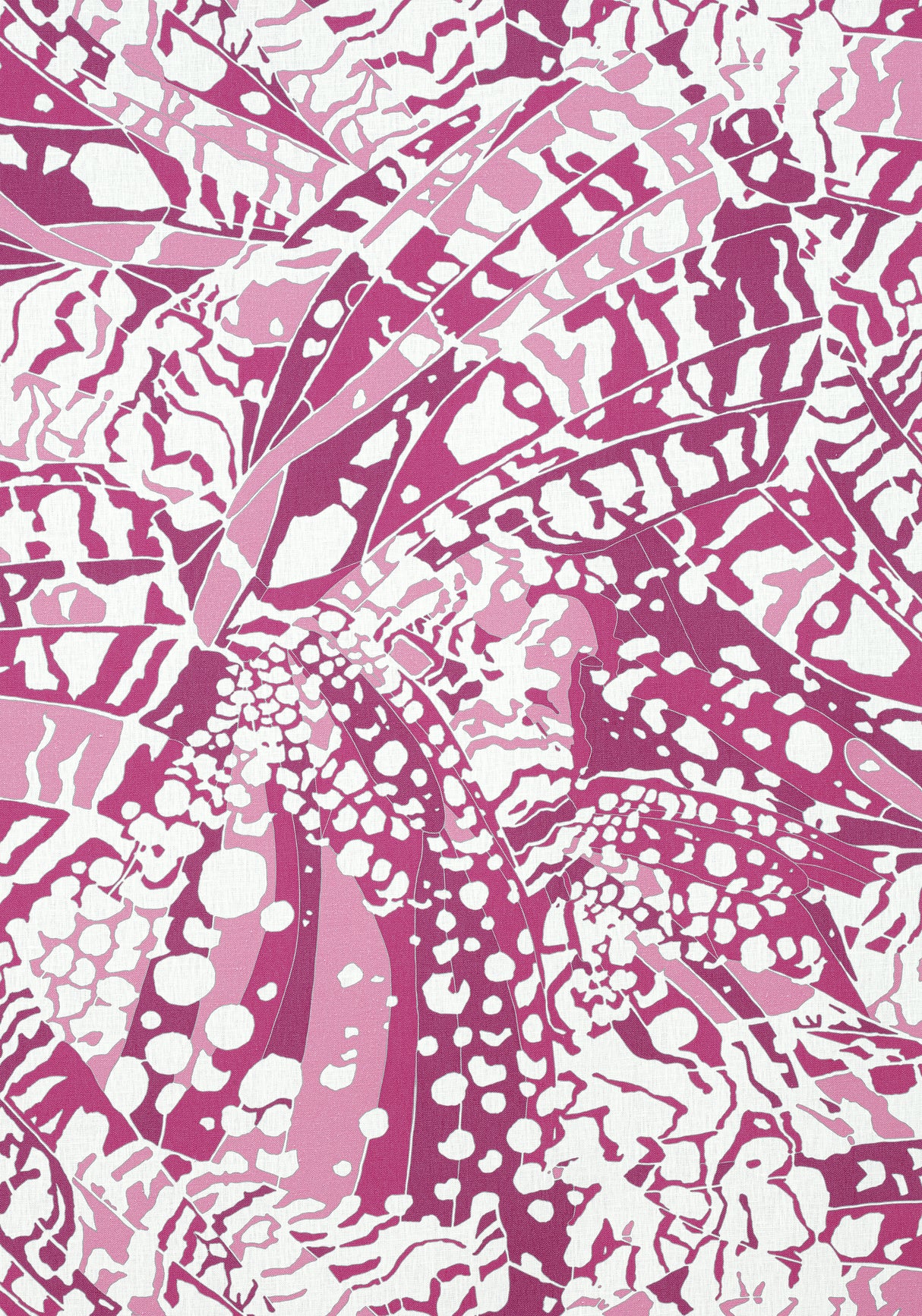 Anna French AF9861 PUCCINI Fuchsia Fabric