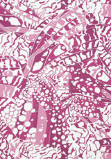 Anna French AF9861 PUCCINI Fuchsia Fabric