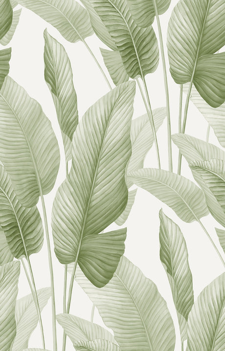 Seabrook Designs AG60004 Mantra Wallpaper