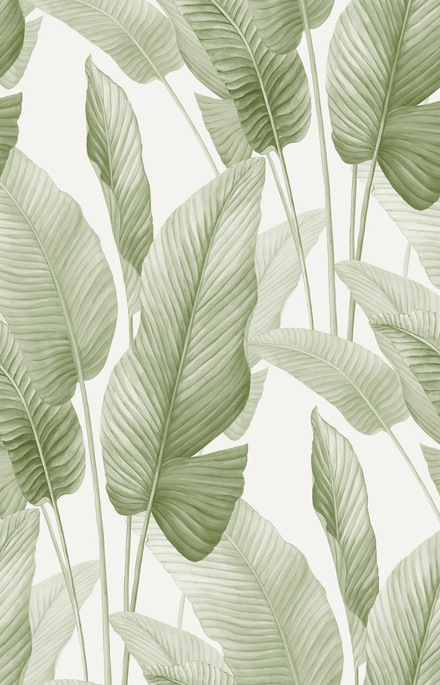 Seabrook Designs AG60004 Mantra Wallpaper