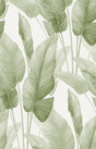 Seabrook Designs AG60004 Mantra Wallpaper