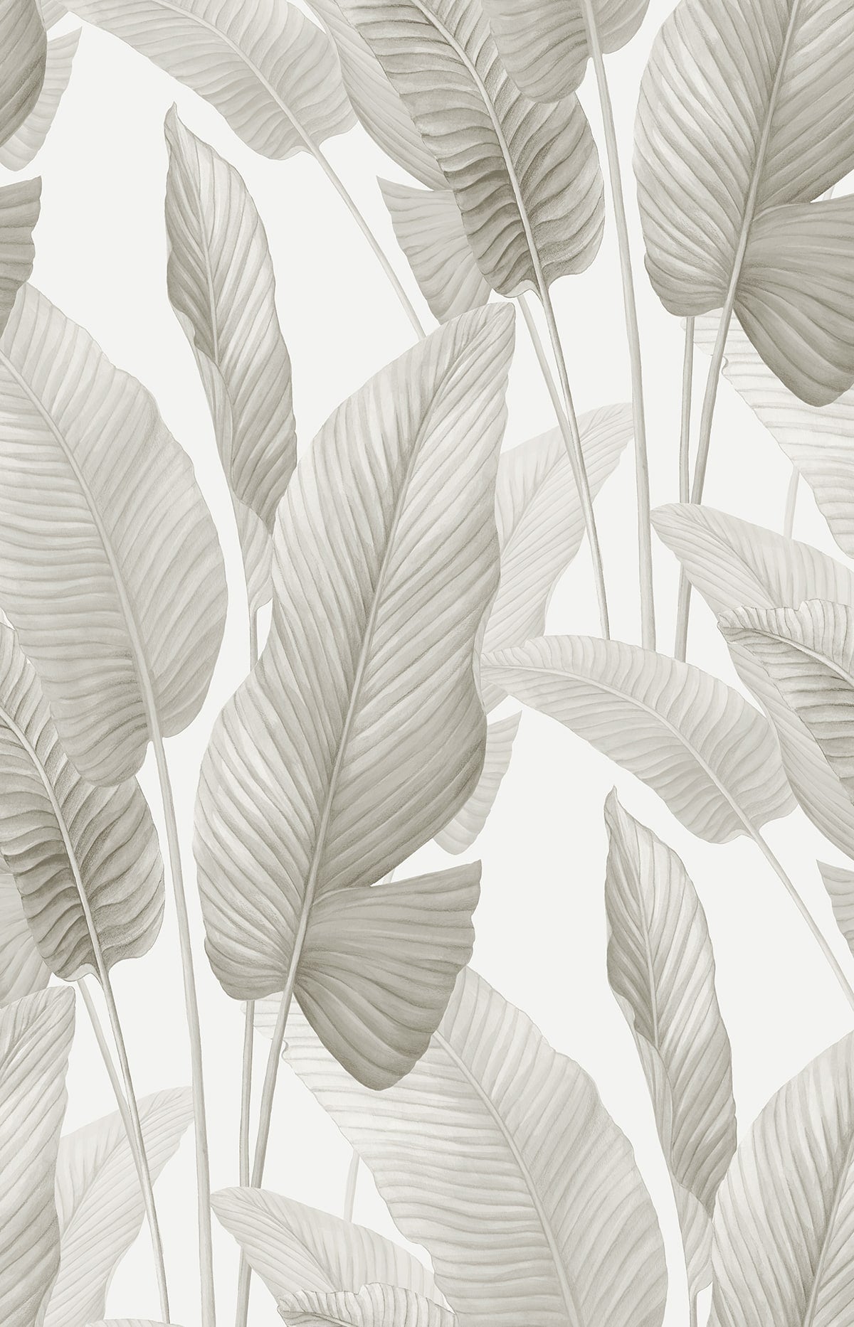 Seabrook Designs AG60008 Mantra Wallpaper