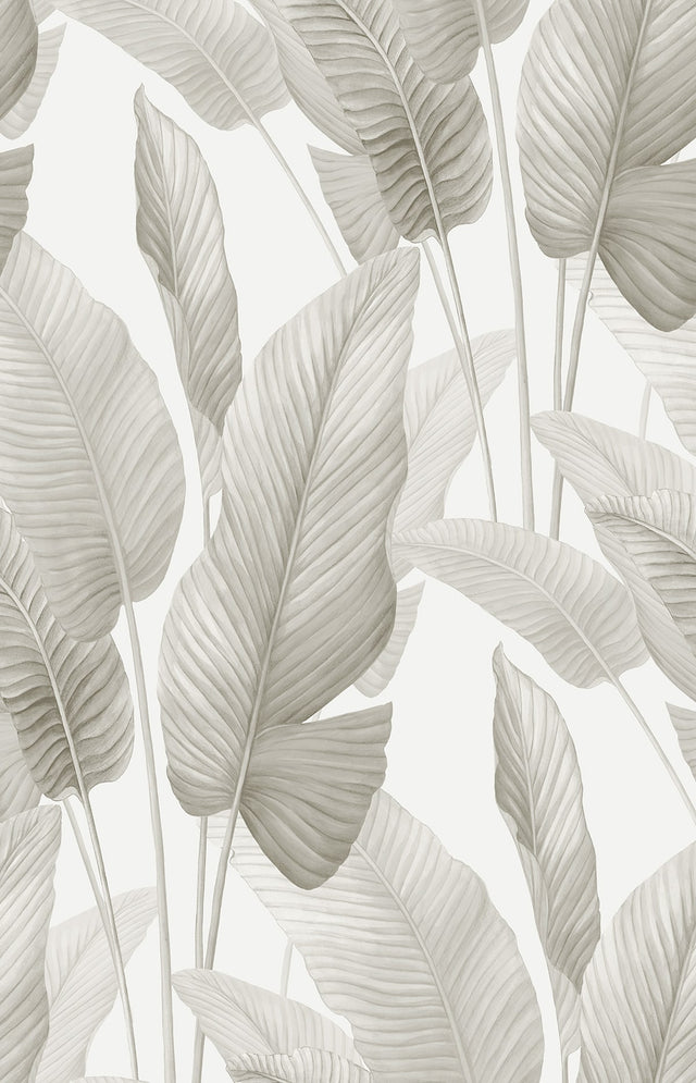 Seabrook Designs AG60008 Mantra Wallpaper