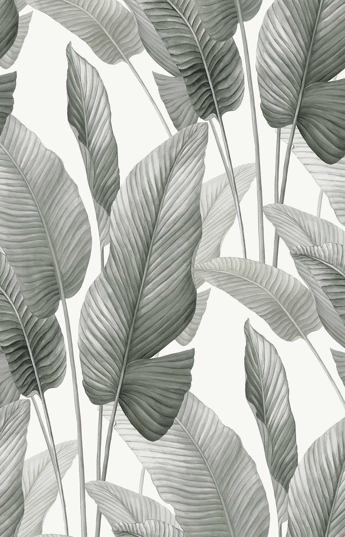 Seabrook Designs AG60010 Mantra Wallpaper