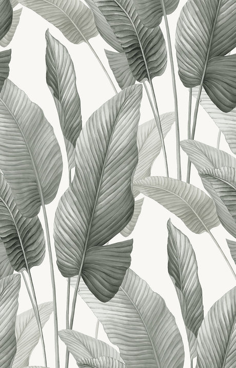 Seabrook Designs AG60010 Mantra Wallpaper