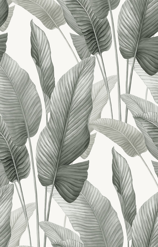 Seabrook Designs AG60010 Mantra Wallpaper