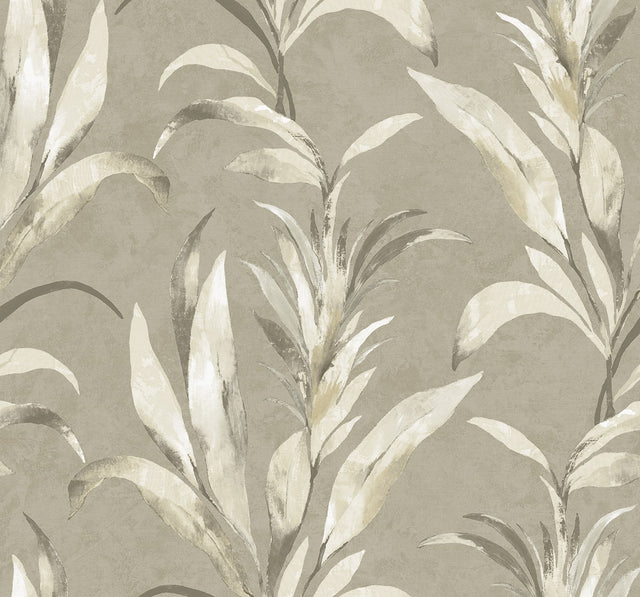 Seabrook Designs AG60705 Padma Wallpaper