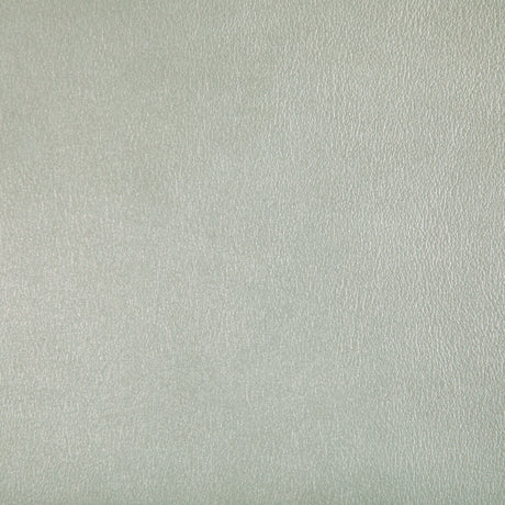 KRAVET CONTRACT AGATHA.1.0 AGATHA PEARL Fabric - Eade's Wallpaper