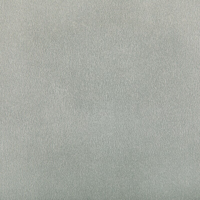 KRAVET CONTRACT AGATHA.11.0 AGATHA STERLING Fabric - Eade's Wallpaper
