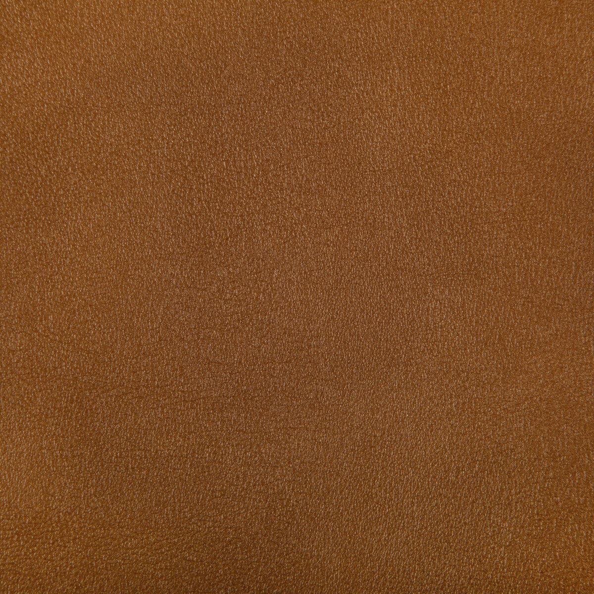 KRAVET CONTRACT AGATHA.12.0 AGATHA SQUASH Fabric - Eade's Wallpaper