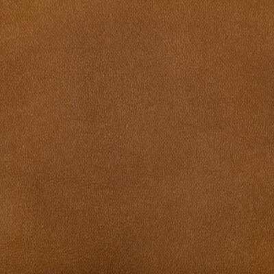 KRAVET CONTRACT AGATHA.12.0 AGATHA SQUASH Fabric - Eade's Wallpaper