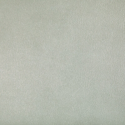 KRAVET CONTRACT AGATHA.1.0 AGATHA PEARL Fabric - Eade's Wallpaper