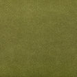 KRAVET CONTRACT AGATHA.23.0 AGATHA CACTUS Fabric - Eade's Wallpaper