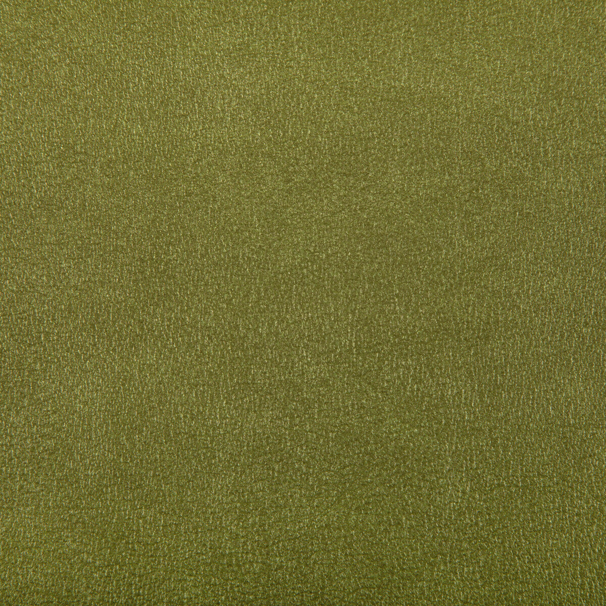 KRAVET CONTRACT AGATHA.23.0 AGATHA CACTUS Fabric - Eade's Wallpaper