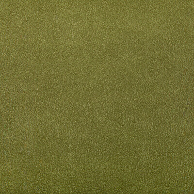 KRAVET CONTRACT AGATHA.23.0 AGATHA CACTUS Fabric - Eade's Wallpaper