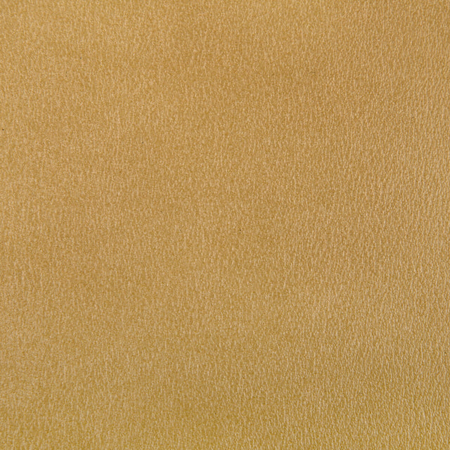 KRAVET CONTRACT AGATHA.40.0 AGATHA GILT Fabric - Eade's Wallpaper
