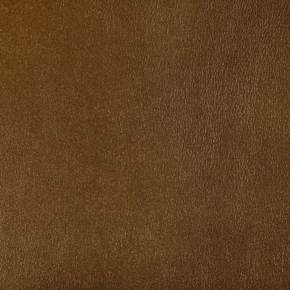 KRAVET CONTRACT AGATHA.404.0 AGATHA INCA Fabric - Eade's Wallpaper