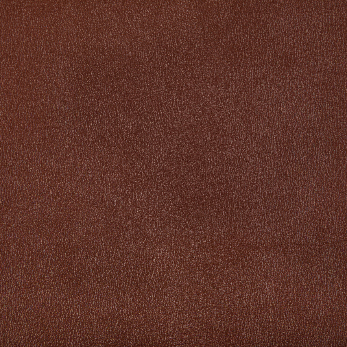 KRAVET CONTRACT AGATHA.6.0 AGATHA COPPER Fabric - Eade's Wallpaper