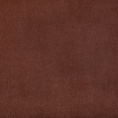KRAVET CONTRACT AGATHA.6.0 AGATHA COPPER Fabric - Eade's Wallpaper