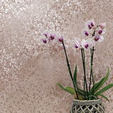 Arthouse AH294300  Wallpaper - Eade's