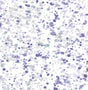 Seabrook Designs AH41709 Wallpaper - Eade's Wallpaper & Fabric