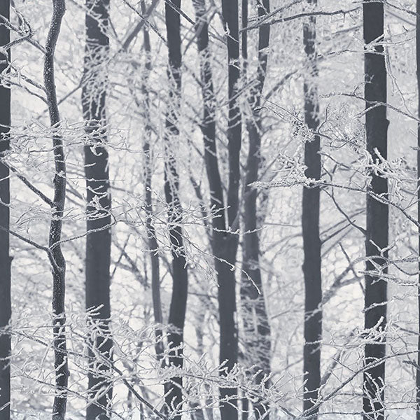 Arthouse AH670200  Wallpaper - Eade's