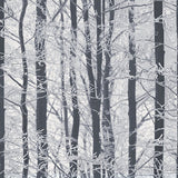 Arthouse AH670200  Wallpaper - Eade's