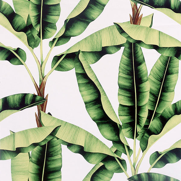 Arthouse AH909604  Wallpaper - Eade's