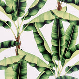 Arthouse AH909604  Wallpaper - Eade's