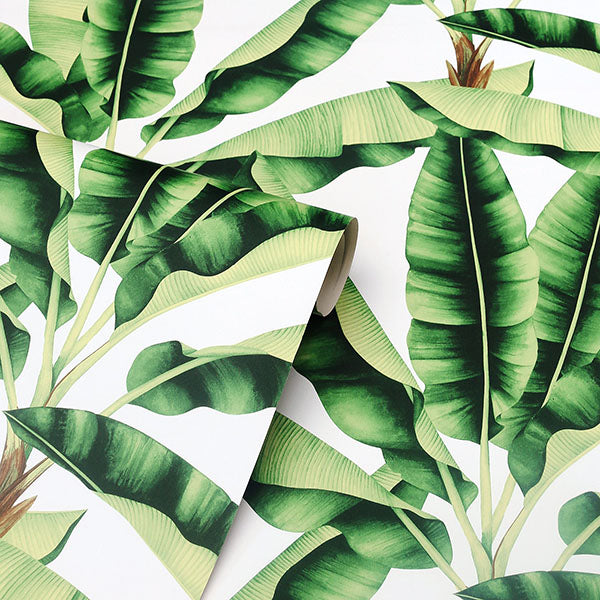Arthouse AH909604  Wallpaper - Eade's