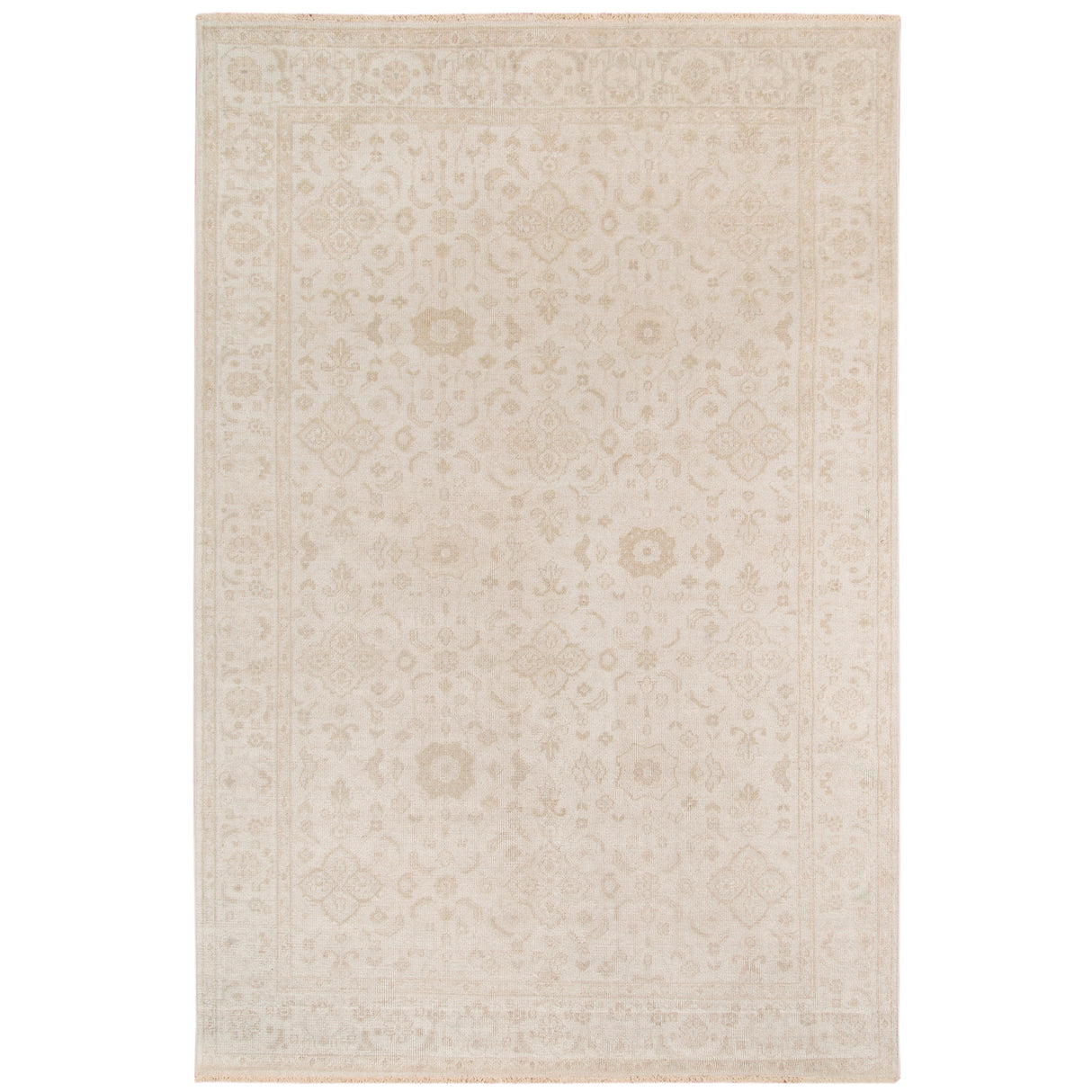 Amer Rugs AIN-1 Ainsley Classic Bordered Area Rug