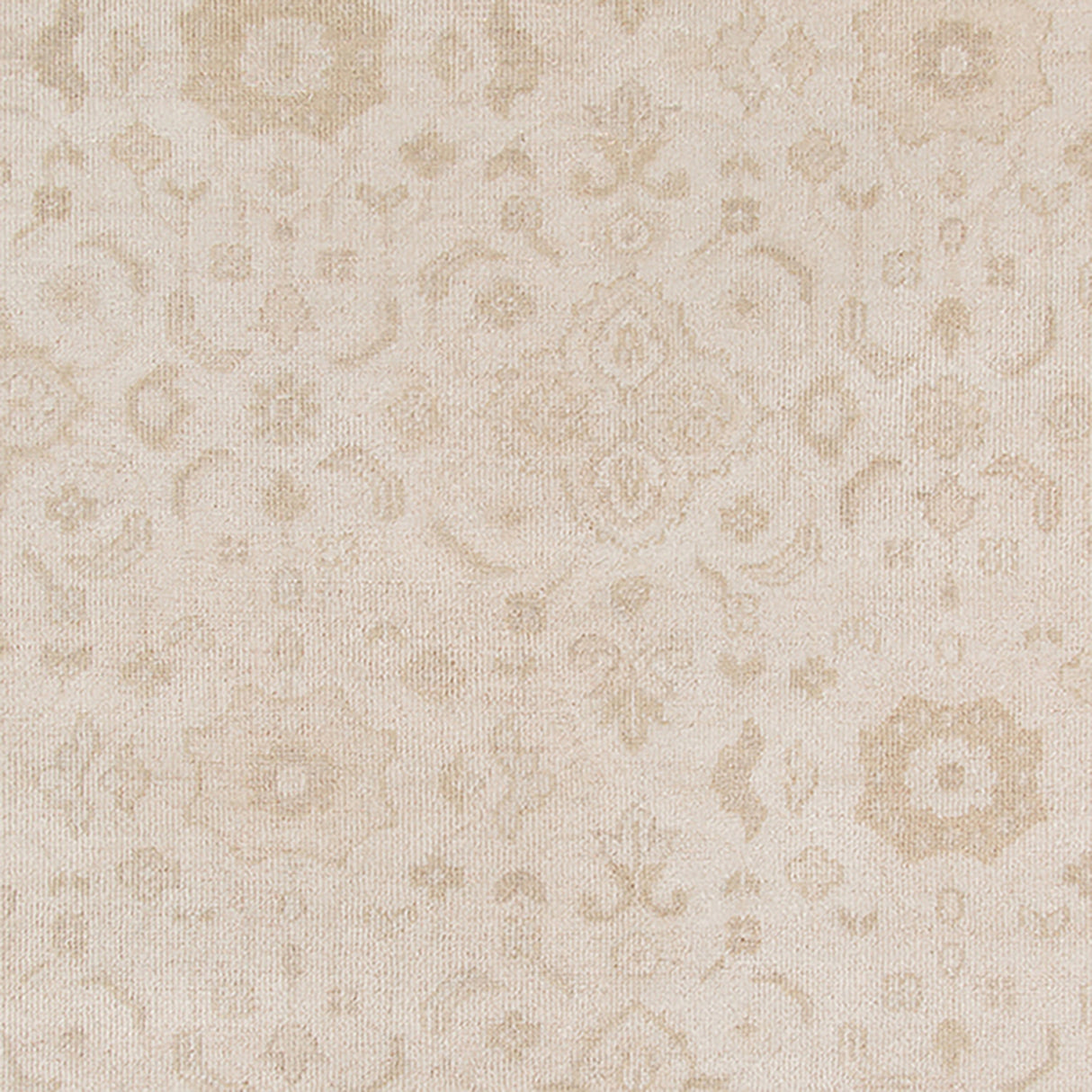 Amer Rugs AIN-1 Ainsley Classic Bordered Area Rug