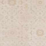 Amer Rugs AIN-1 Ainsley Classic Bordered Area Rug