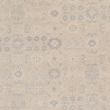 Amer Rugs AIN-4 Ainsley Classic Bordered Area Rug