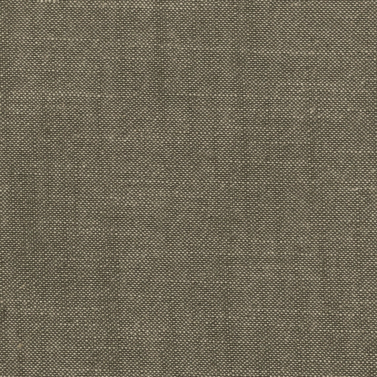 STOUT AINS-20 AINSWORTH 20 TWIG Fabric - Eades Wallpaper & Fabric