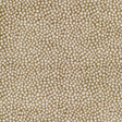 Eade's AKRO-1-sample OAK