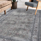 Amer Rugs ALA-6 Alaska Machine-Washable Vintage Medallion Power-Loomed /Gray Area Rug