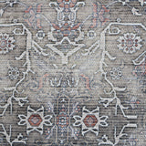 Amer Rugs ALA-6 Alaska Machine-Washable Vintage Medallion Power-Loomed /Gray Area Rug