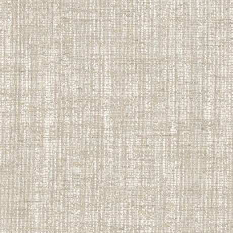 STOUT ALBE-3 ALBERTO 3 BIRCH Fabric - Eades Wallpaper & Fabric