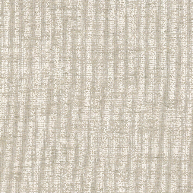 STOUT ALBE-3 ALBERTO 3 BIRCH Fabric - Eades Wallpaper & Fabric