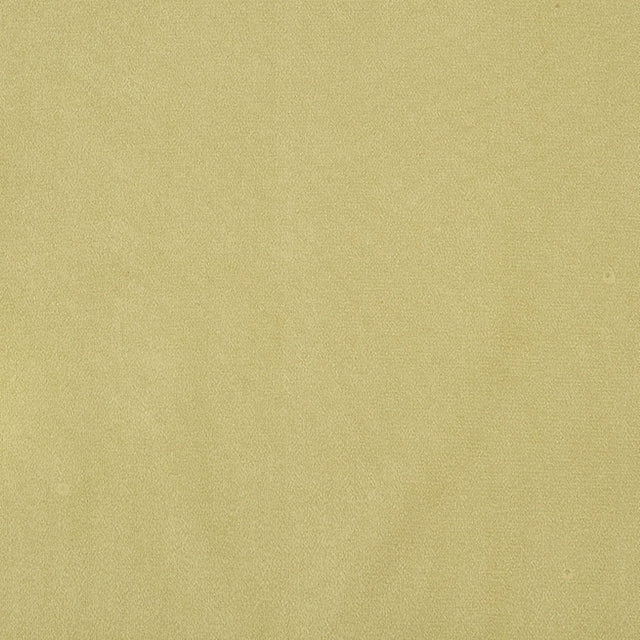 Crypton 72-J7031 ALGONQUIN Fabric - Eade's Wallpaper & Fabric